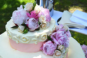 Speciality Cakes